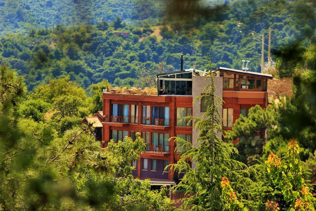 Отель Assos Kayalar Terrace Сазлы Экстерьер фото